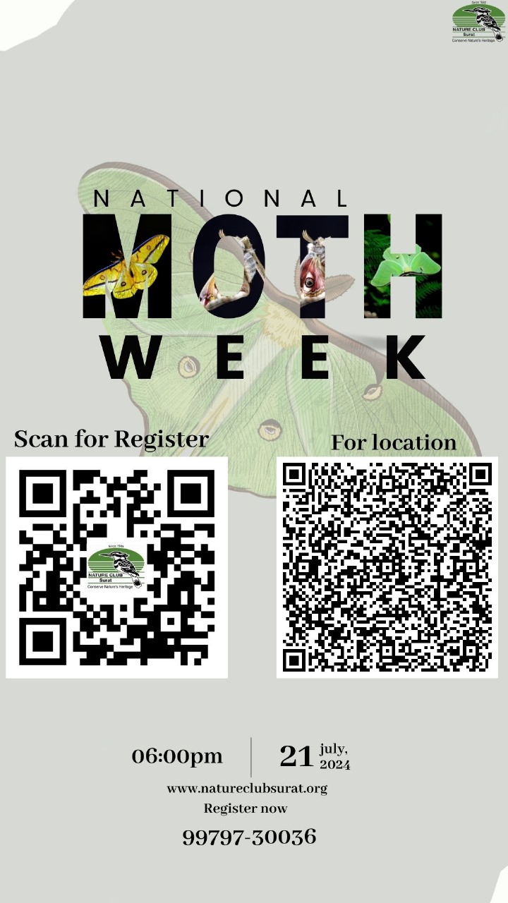 National Moth Week – July 24