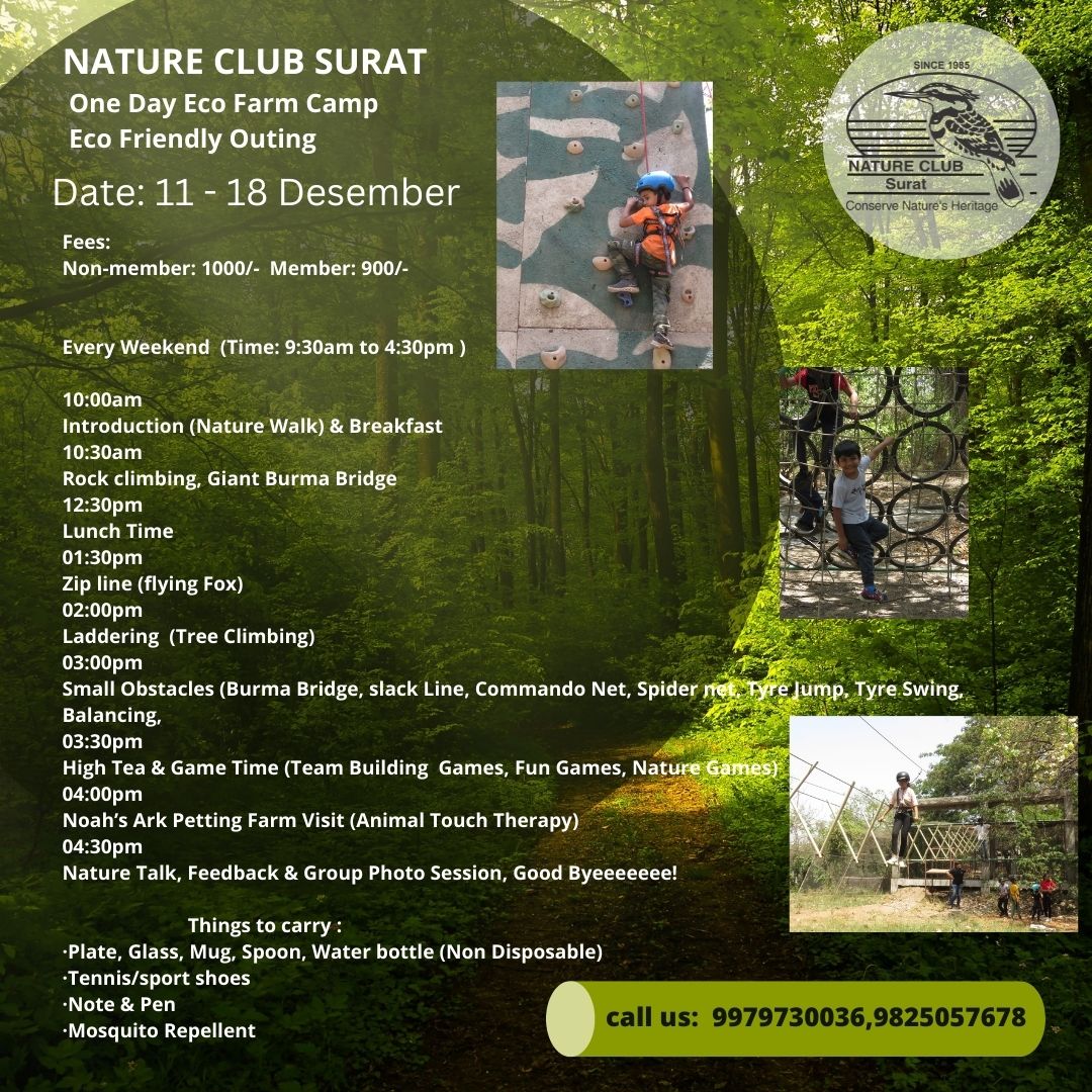 One Day Adventure Camp during Christmas – Nature Club Surat